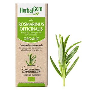 Rosmarinus Officinalis - G67