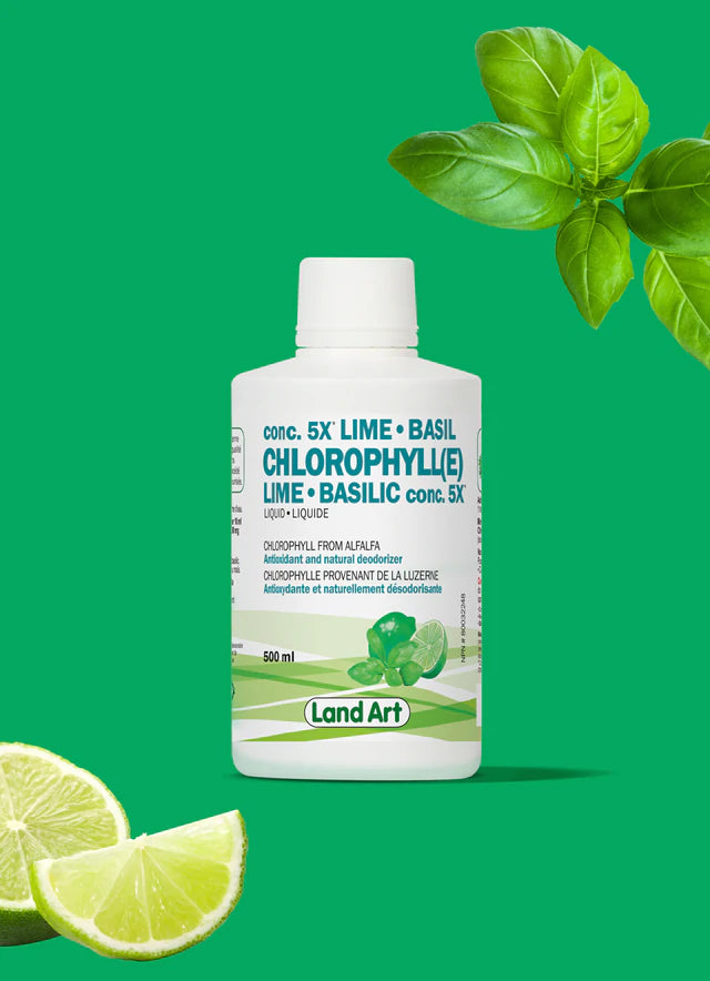 Chlorophylle 5X Liquide