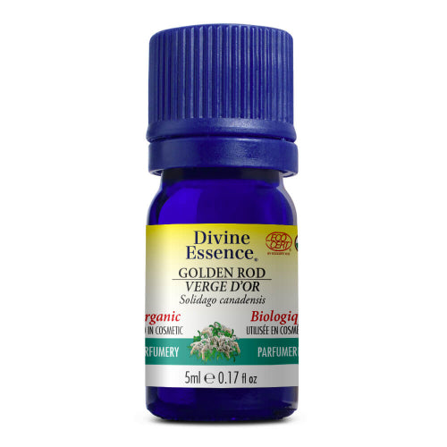Golden Rod - Organic