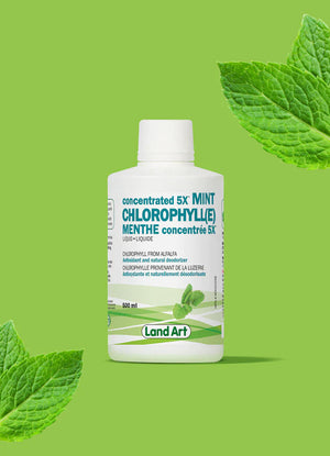 Chlorophyll 5X Liquid