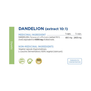 Dandelion extract
