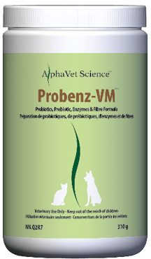 Probenz-VM